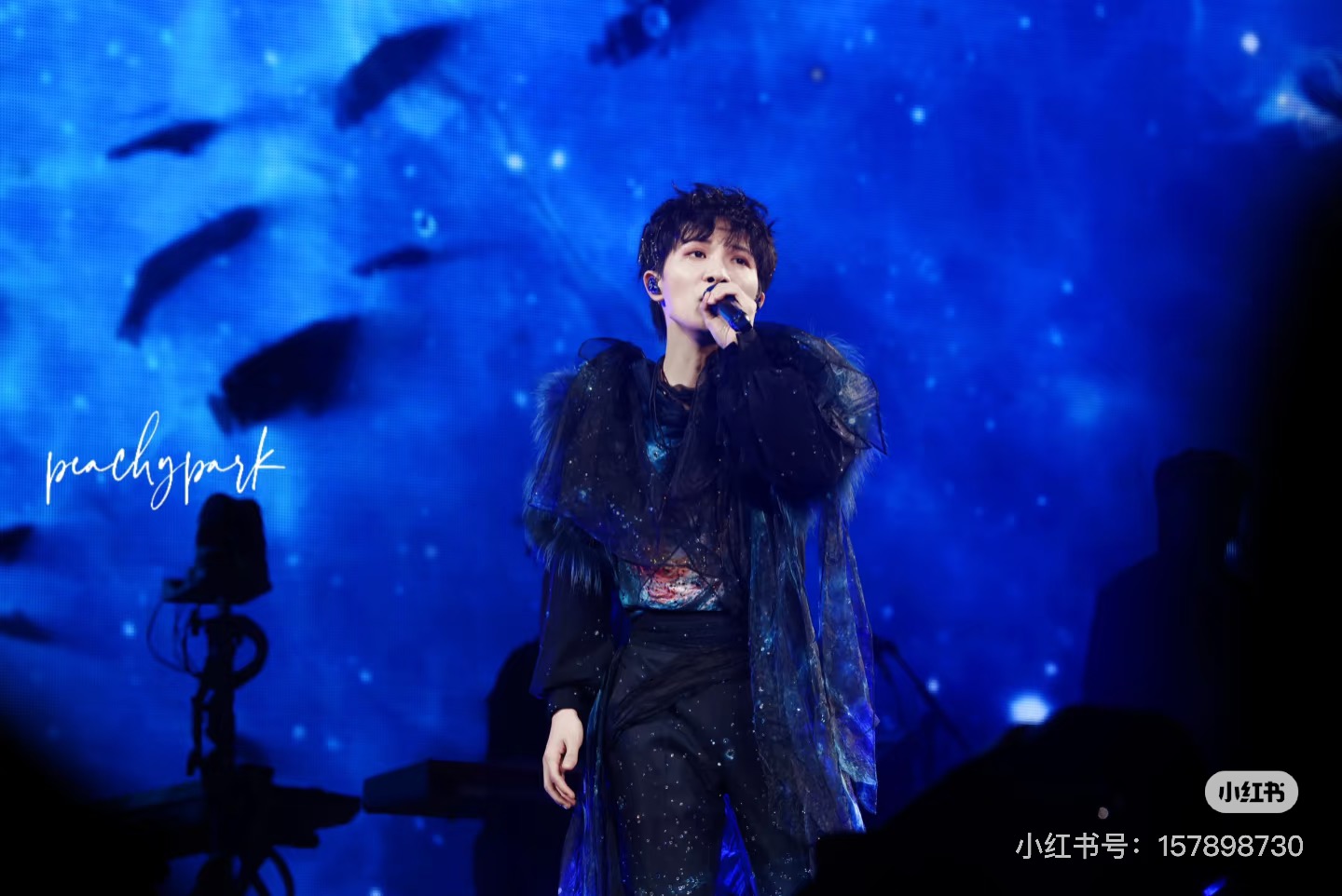 卷积神经网络实验：从 MNIST 到 CIFAR-10