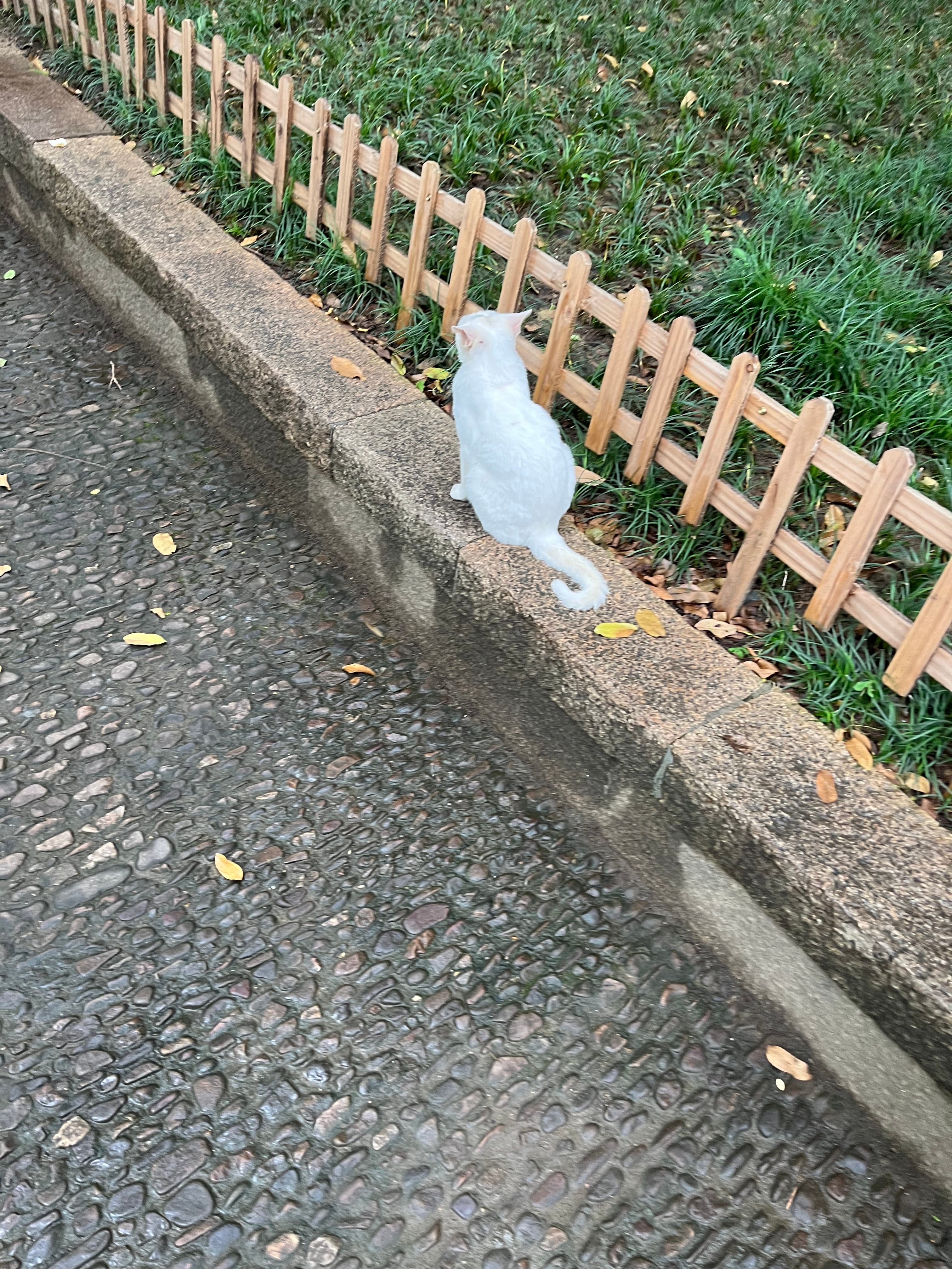 江南水