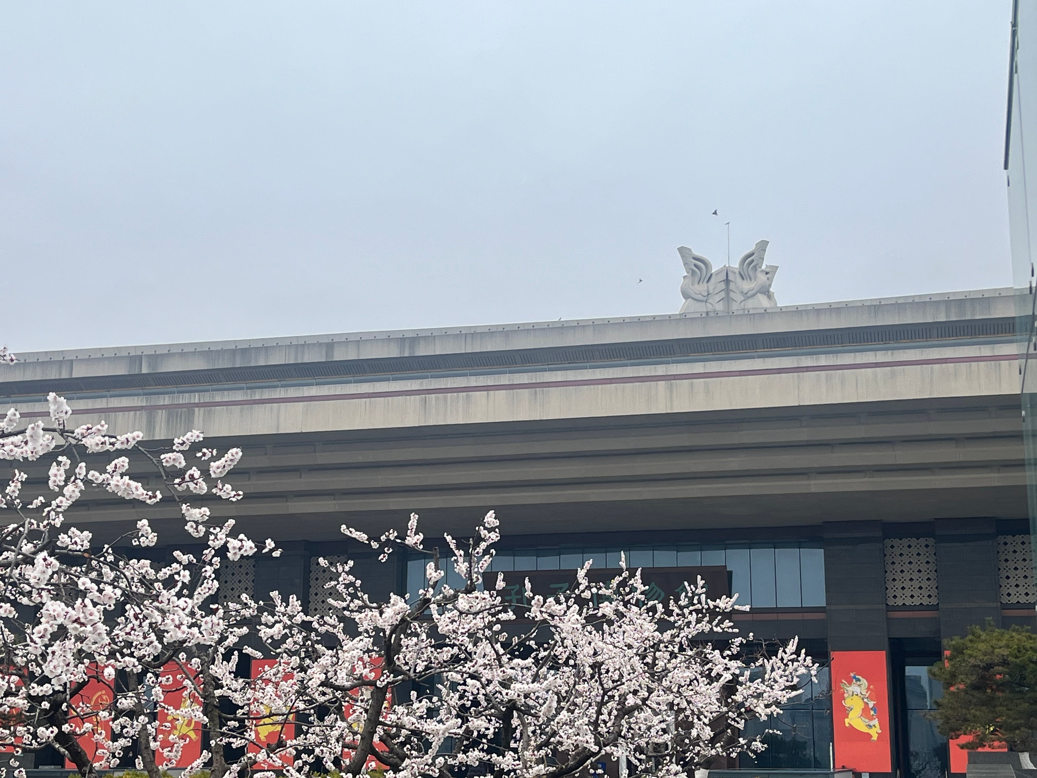 齐鲁大地